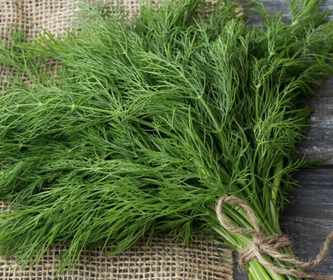 Dill